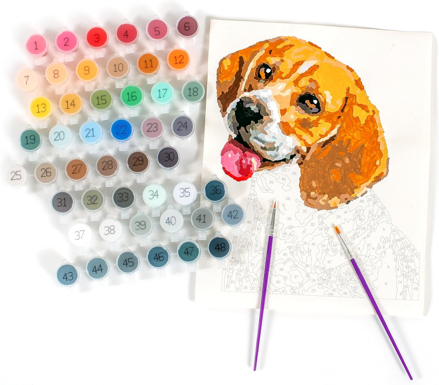 Paintable Pictures | Paint Your Photo by Number: Pets Edition | Customizable Kit | Printable Canvas | Custom Paint by Number Technology