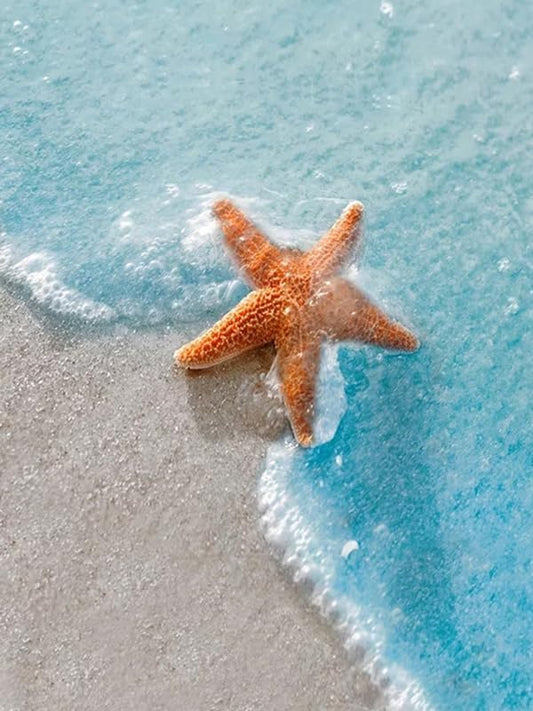 QUITEDEW Beach Diamond Painting, Landscape Diamond Art Kits for Adults, Starfish Diamond Painting Kits for Kids Crafts Gift 12x16 Inch